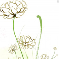 唯美动漫卡通花朵植物头像图片(图58)