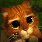 可爱加菲猫QQ头像图片