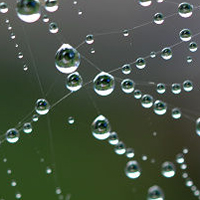 清新唯美的透明水滴头像图片(图42)