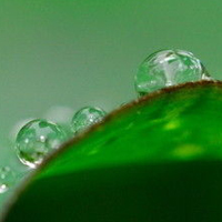 清新唯美的透明水滴头像图片(图47)