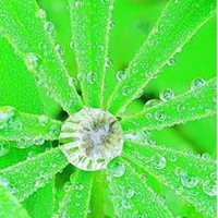 清新唯美的透明水滴头像图片(图15)