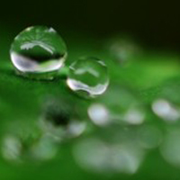 清新唯美的透明水滴头像图片(图35)