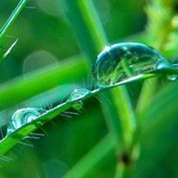 清新唯美的透明水滴头像图片(图44)