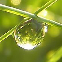 清新唯美的透明水滴头像图片(图6)