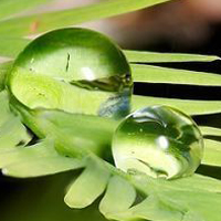 清新唯美的透明水滴头像图片(图13)