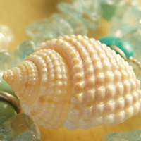清新唯美贝壳海螺头像图片(图8)