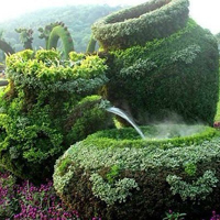 超有创意的园林艺术绿化头像图片(图43)