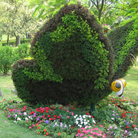 超有创意的园林艺术绿化头像图片(图37)