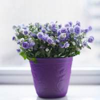 唯美清新淡雅的紫色花朵头像图片(图15)