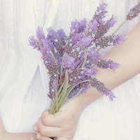 唯美清新淡雅的紫色花朵头像图片(图53)