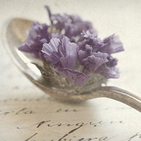 唯美清新淡雅的紫色花朵头像图片(图31)
