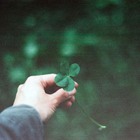 唯美绿色的幸运草头像图片(图69)
