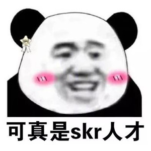 skr头像图片