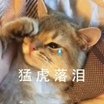 猛虎流泪带字表情头像图片