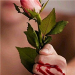 手握抓玫瑰刺手流血头像图片