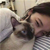 情头一男一女抱猫