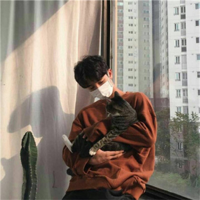 QQ头像男生抱着猫