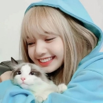 lisa抱猫微笑开心头像图片