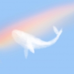 可爱创意彩虹鲸鱼梦幻头像图片
