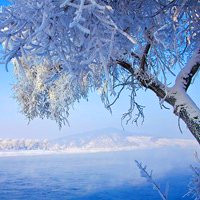 冬季雪景唯美风景头像图片(图8)