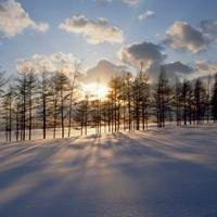 冬季雪景唯美风景头像图片(图7)