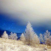 冬季雪景唯美风景头像图片(图25)