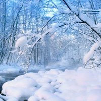 冬季雪景唯美风景头像图片(图15)