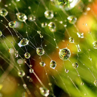 雨过天晴微信头像