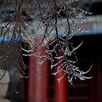 雨过天晴微信头像