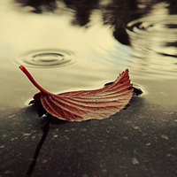 雨过天晴微信头像