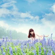 唯美意境薰衣草女孩QQ头像图片