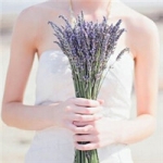 女生唯美手拿薰衣草头像图片