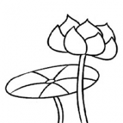 绘画手绘莲花头像图片