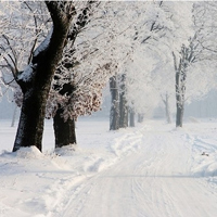 QQ头像雪景图片