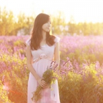 QQ头像薰衣草女生唯美图片