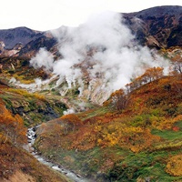 清新自然风景头像