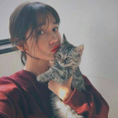 怀里抱有猫的女头