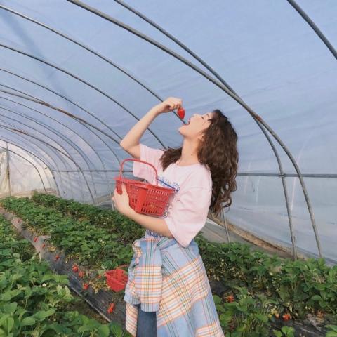 唯美头像女生小清新