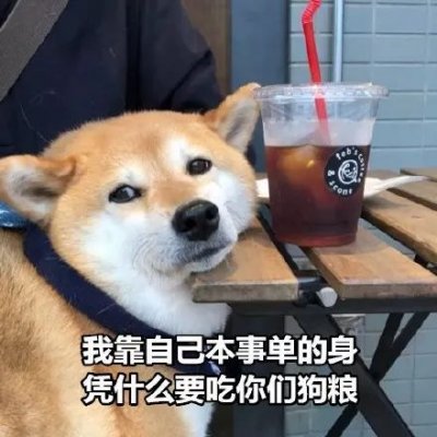 单身狗头像搞笑