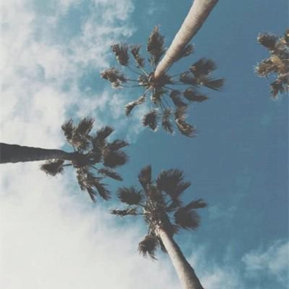 头像图片唯美风景