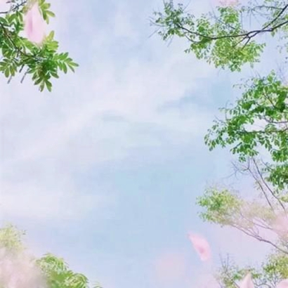 头像图片唯美风景
