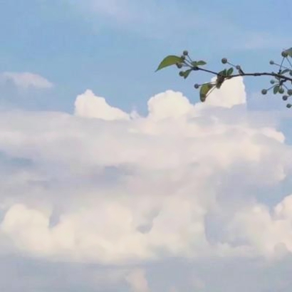 头像图片唯美风景