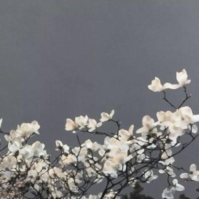 头像图片唯美风景