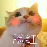 可爱猫带字头像图片