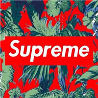 supreme头像图片