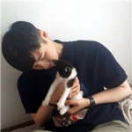 帅气的干净男头抱猫图片