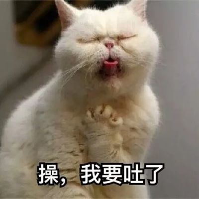 搞笑萌宠猫咪带字头像