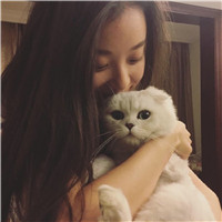 美女抱猫的头像图片