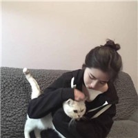 美女抱猫的头像图片