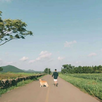 唯美情头一人一张